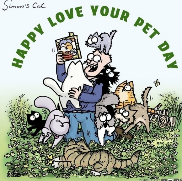 Make an offer week - Picture 8 of 11